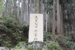 DSCF1963