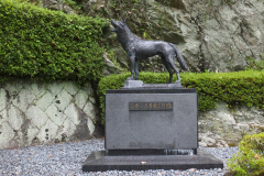 DSCF1965