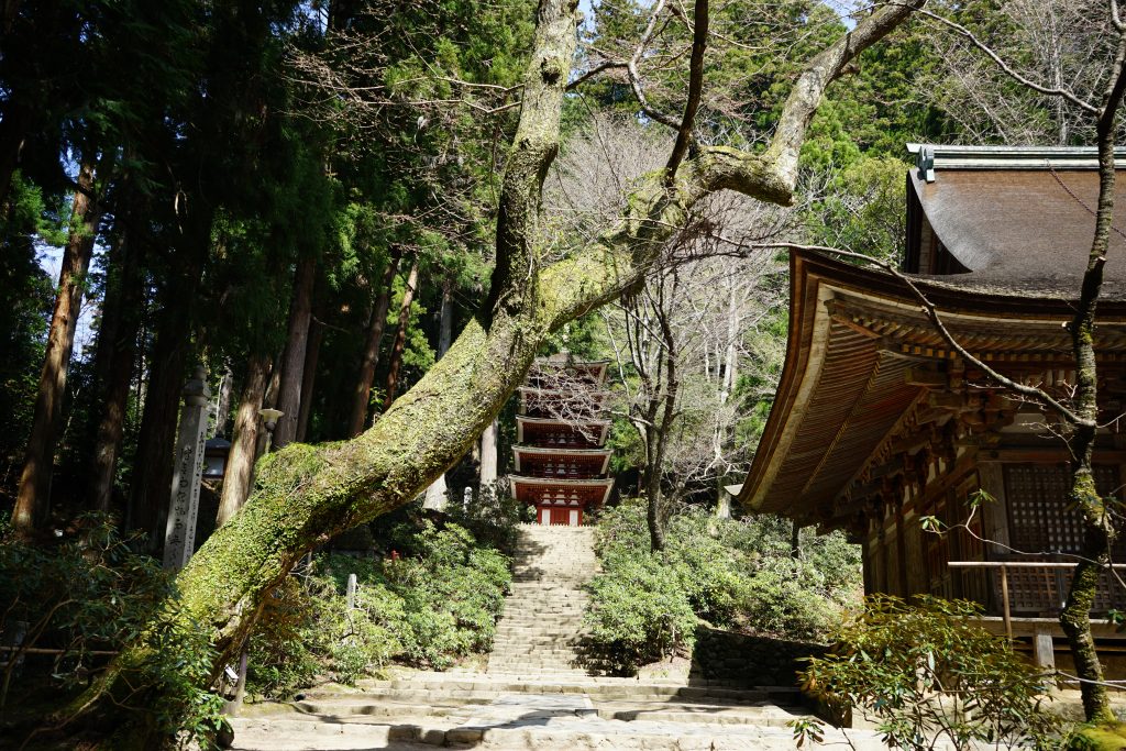 室生寺の五重塔