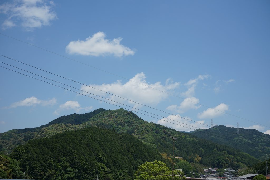 長谷寺の山々