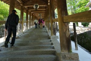 長谷寺の登廊2