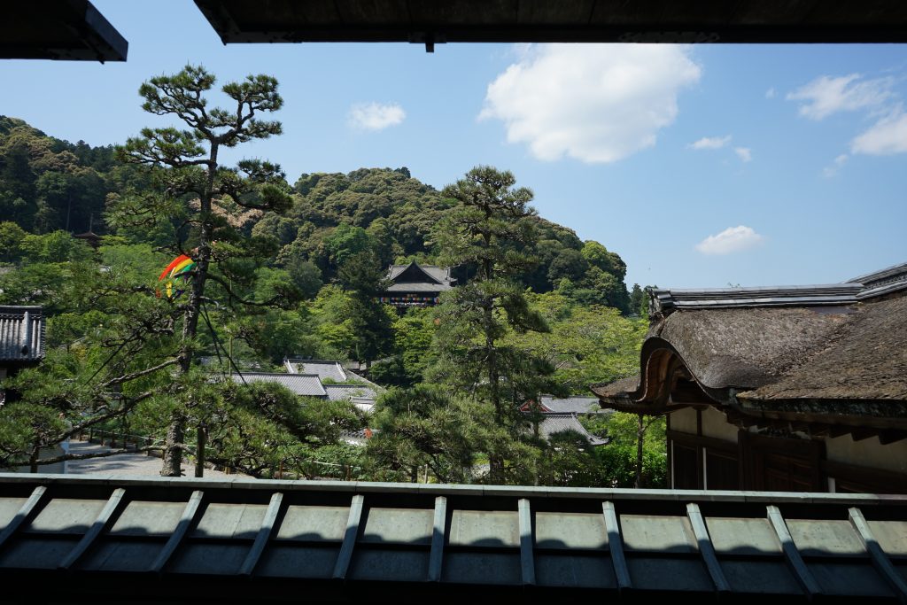 長谷寺本坊から見る本堂