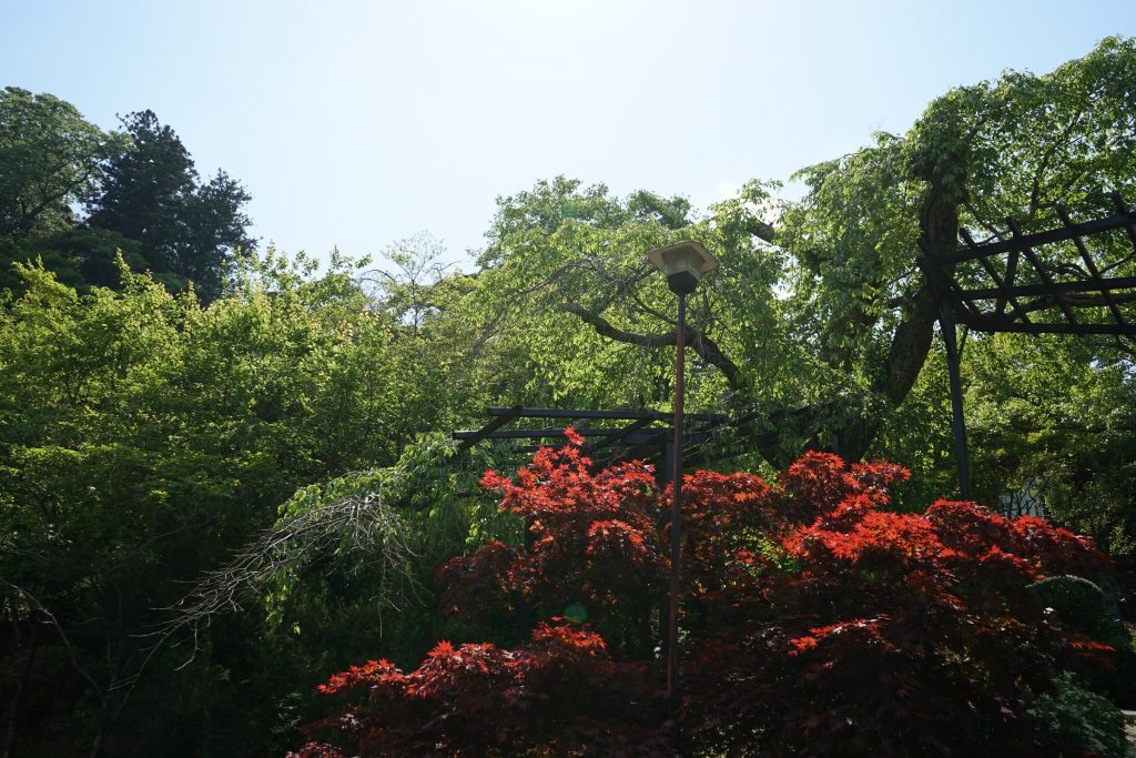 長谷寺の庭