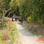 天岩戸神社境内