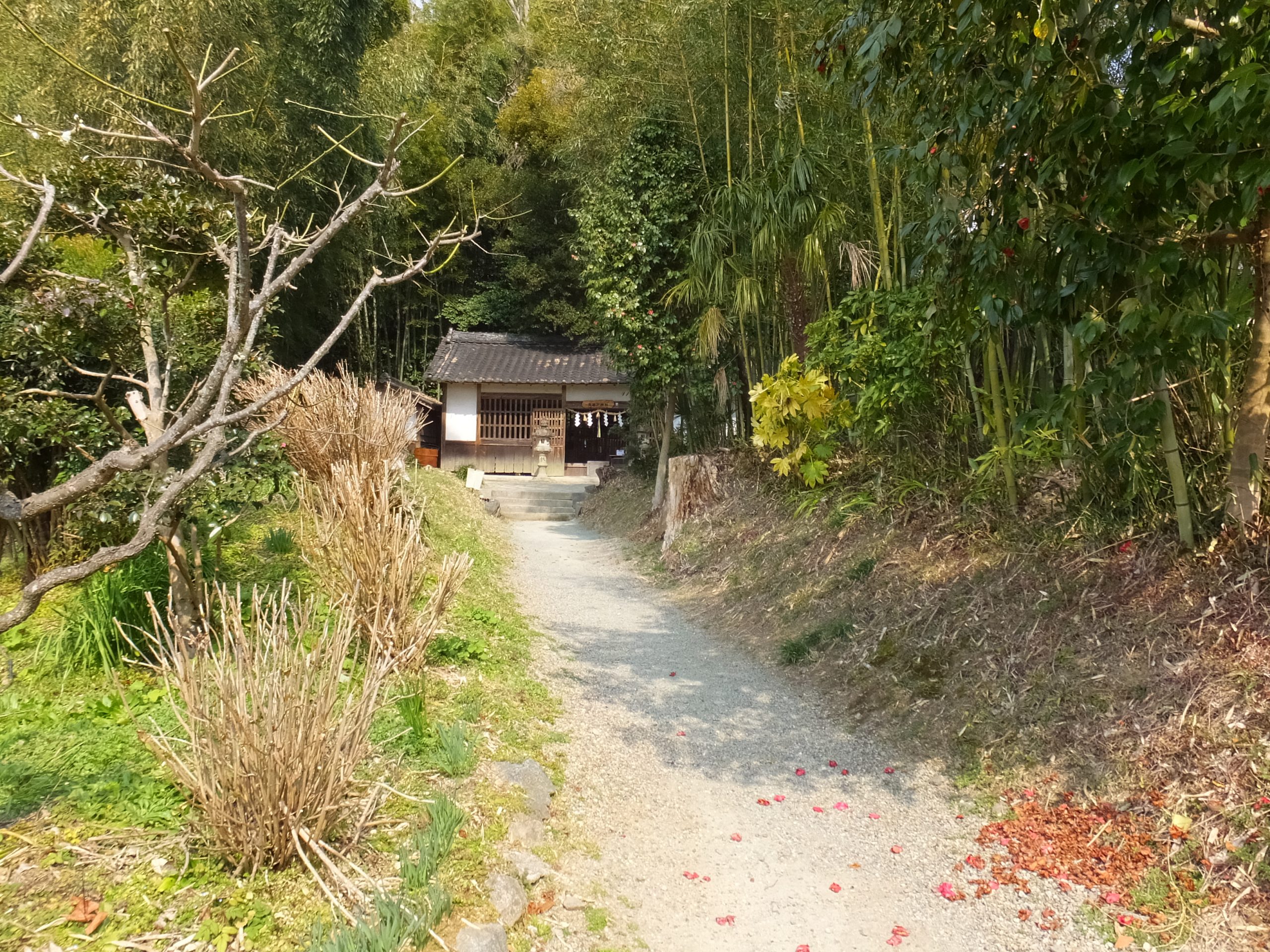 天岩戸神社境内