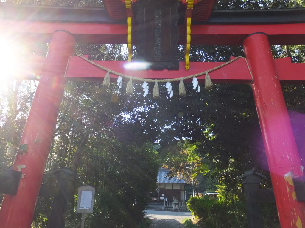 長尾神社鳥居アップ