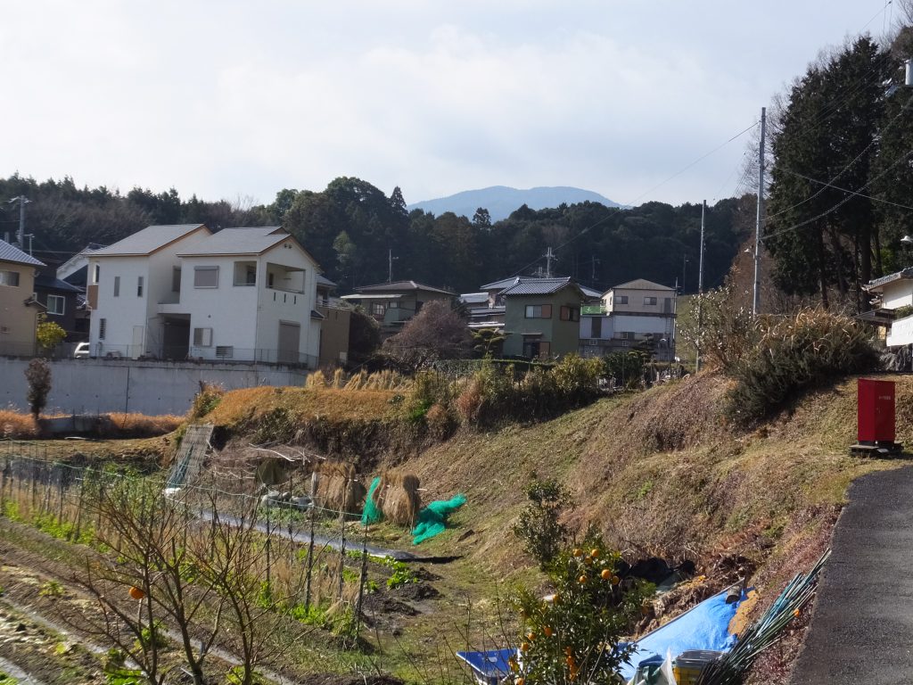 二上山麓の田んぼ