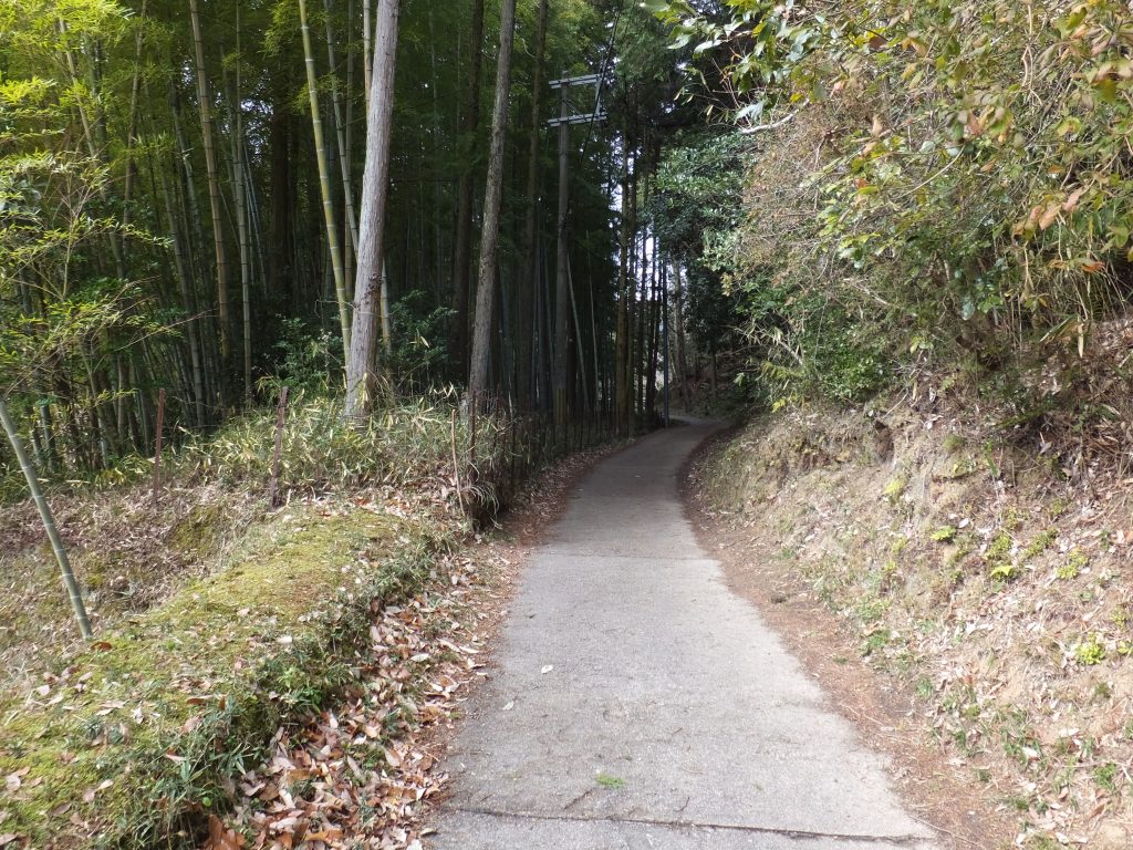 二上山登山口竹林道