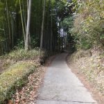 二上山登山口竹林道