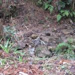 二上山登山口までの道・川