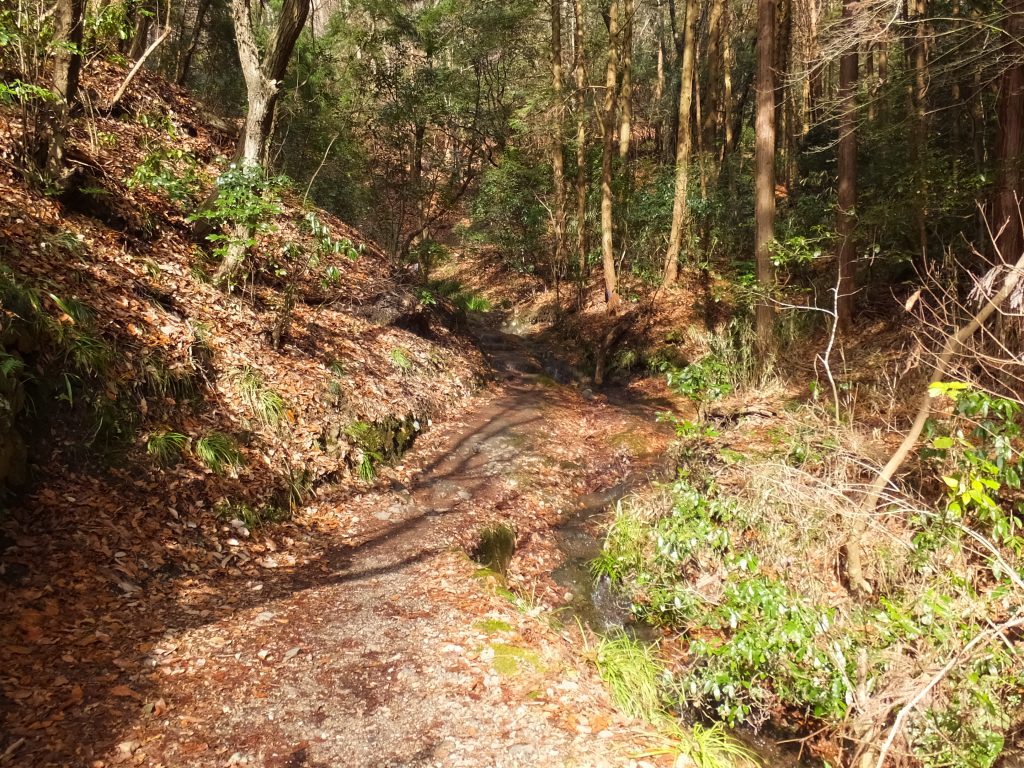 二上山登山道