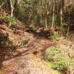 二上山登山道