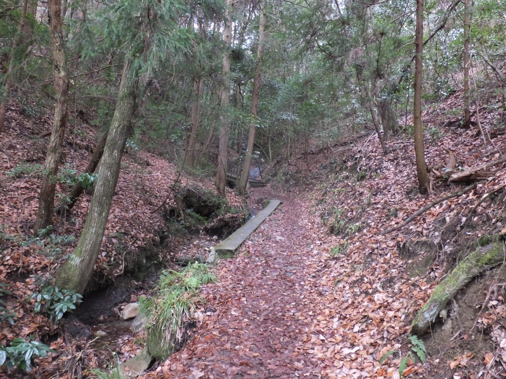 二上山登山道川沿い