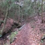 二上山登山道川沿い