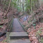 二上山登山道川沿いの橋