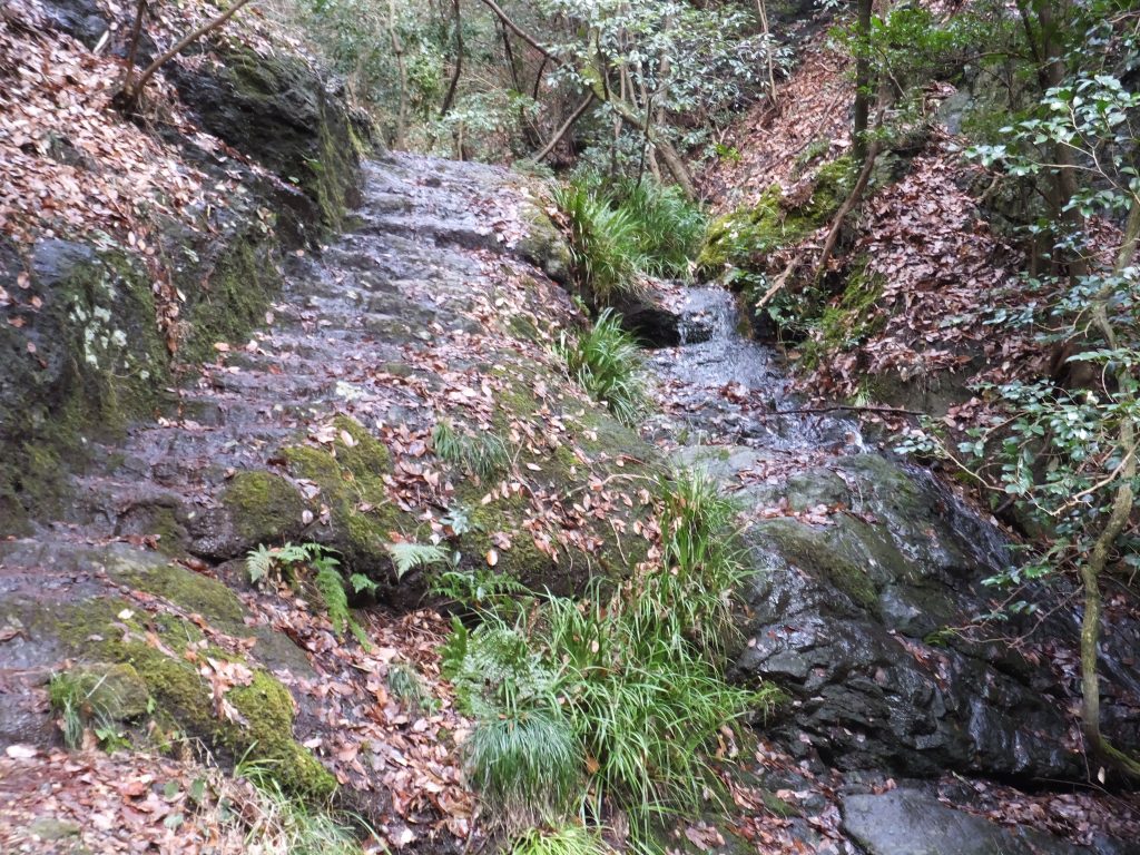 二上山登山道険しい道