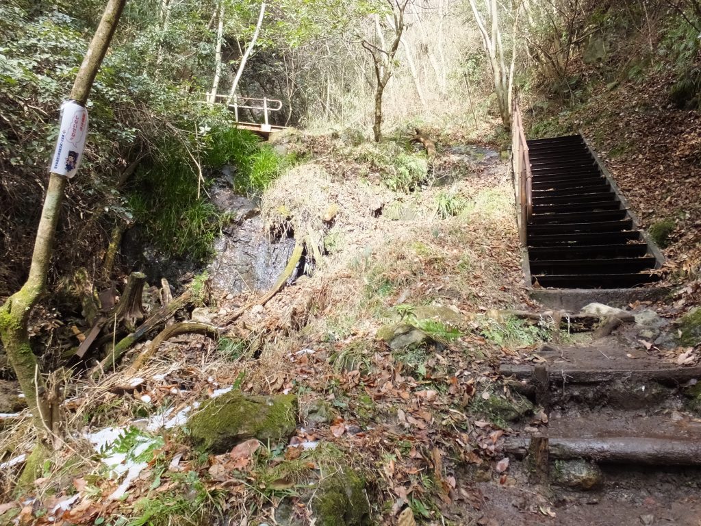 二上山登山道険しい道の階段