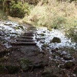 二上山登山道の雪