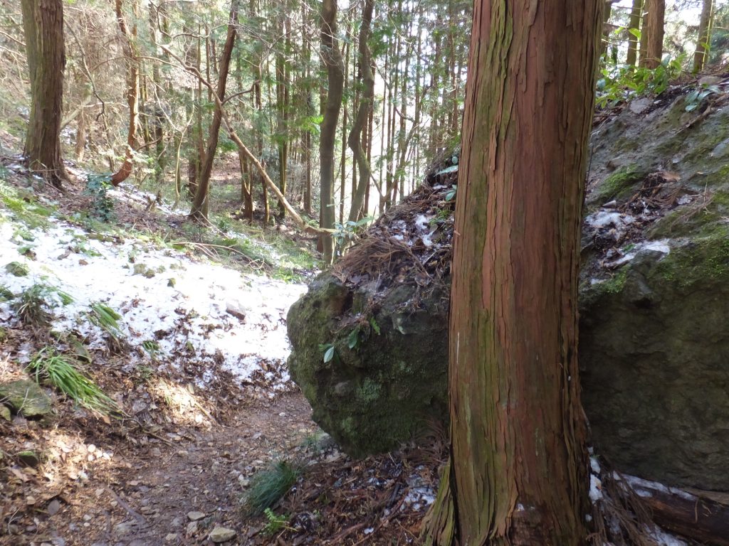 二上山登山道の雪と巨石