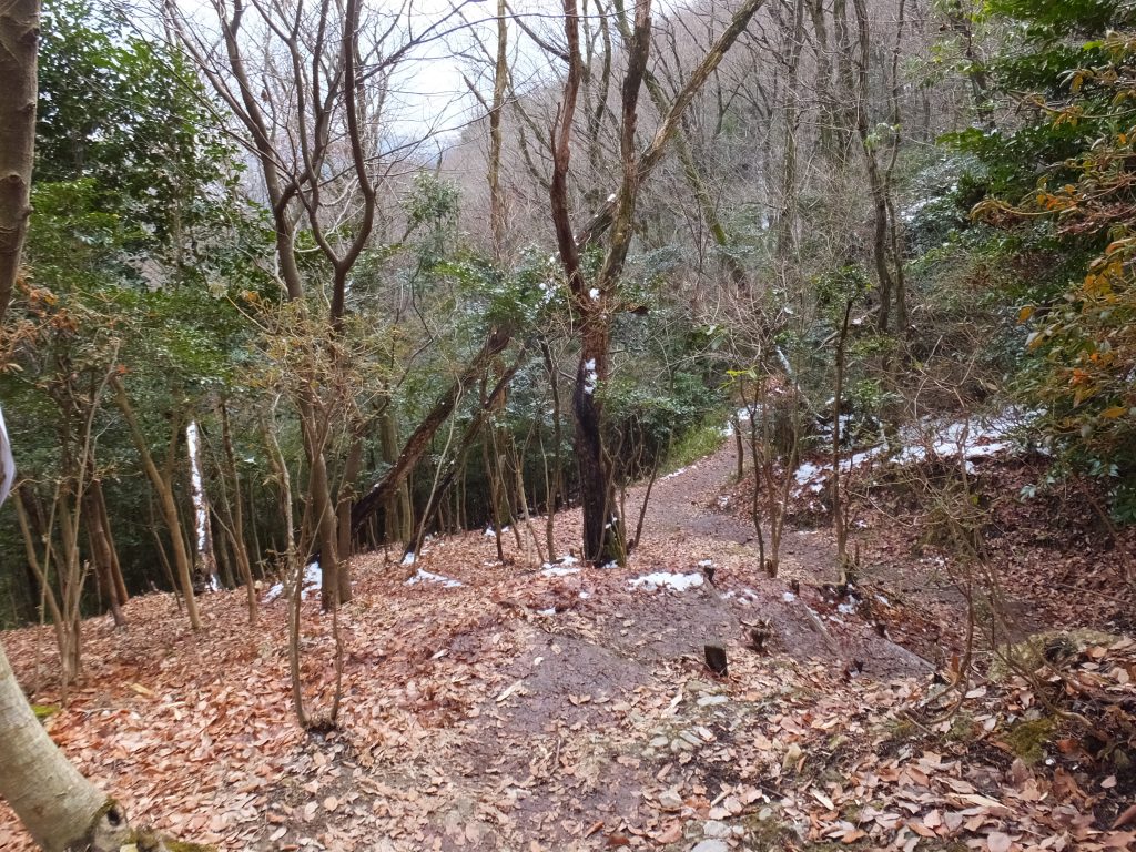 二上山登山道の頂上近く