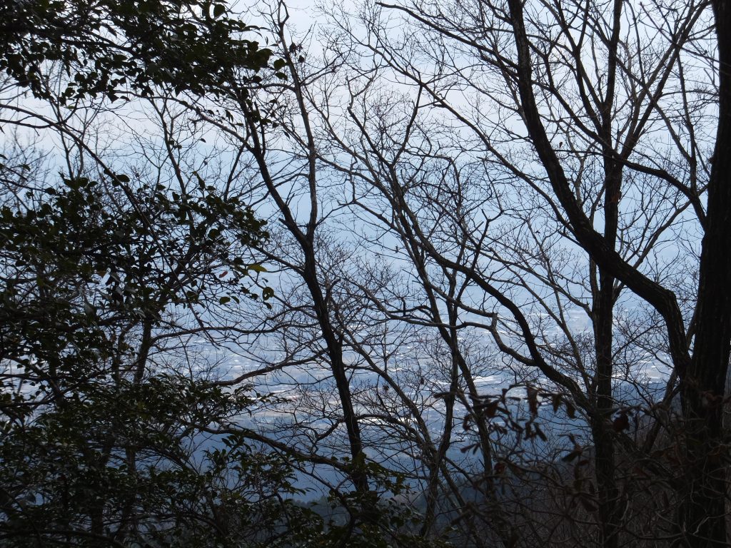 二上山馬の背からの奈良盆地