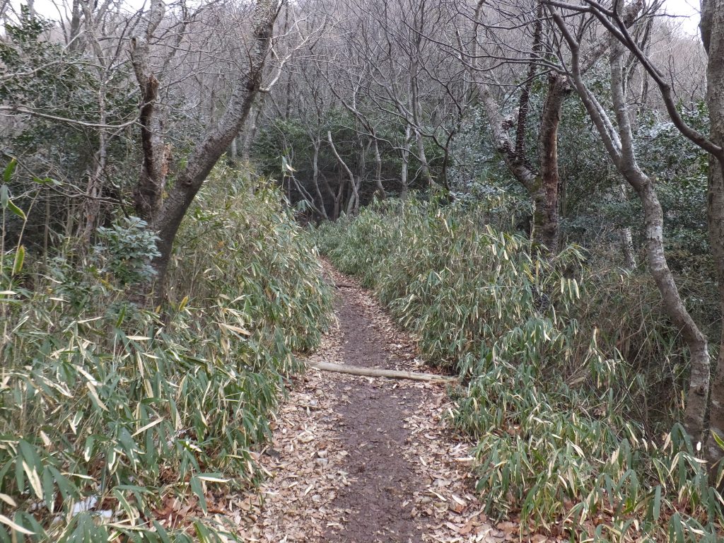 二上山雄岳登山道1