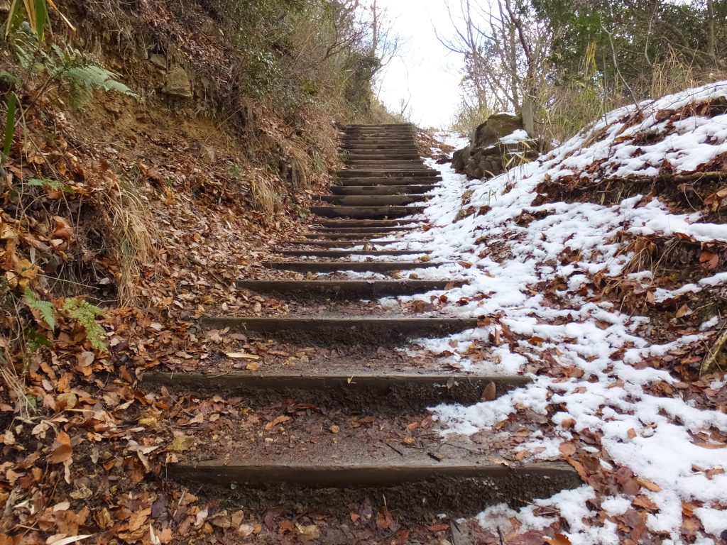 二上山雄岳登山道2