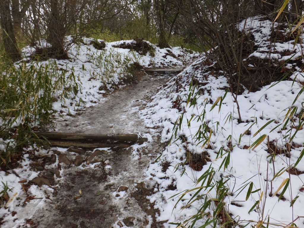 二上山雄岳登山道4