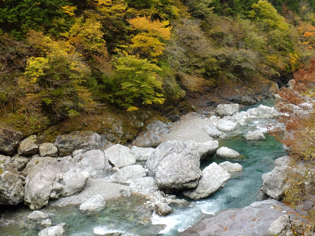 みたらい渓谷遊歩道前の川沿い1