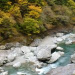 みたらい渓谷遊歩道前の川沿い1