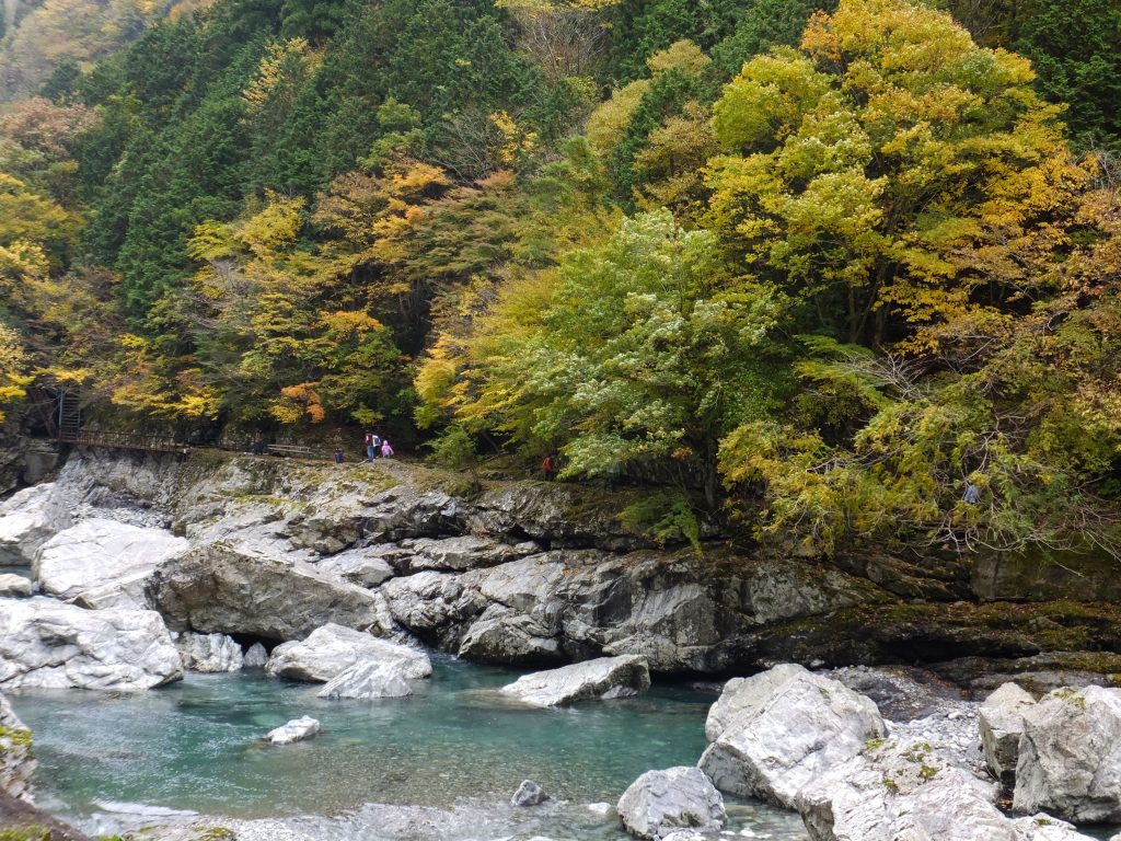 みたらい渓谷遊歩道前の川沿い2