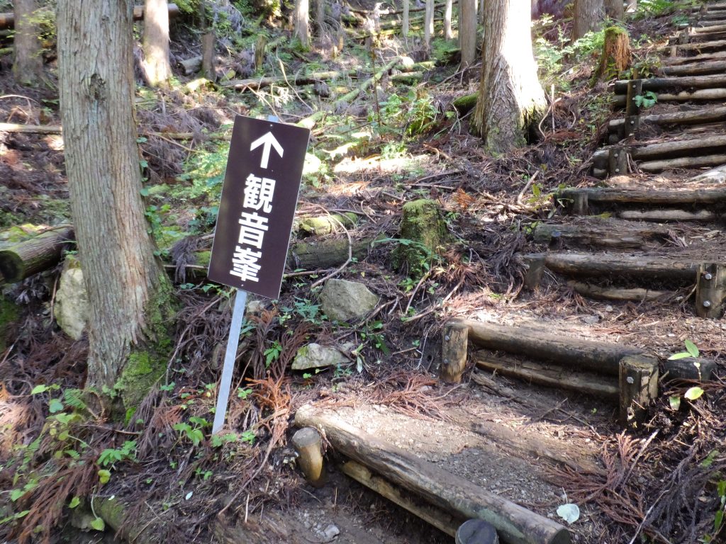 みたらい渓谷遊歩道6