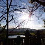 葛城一言主神社境内からの風景2