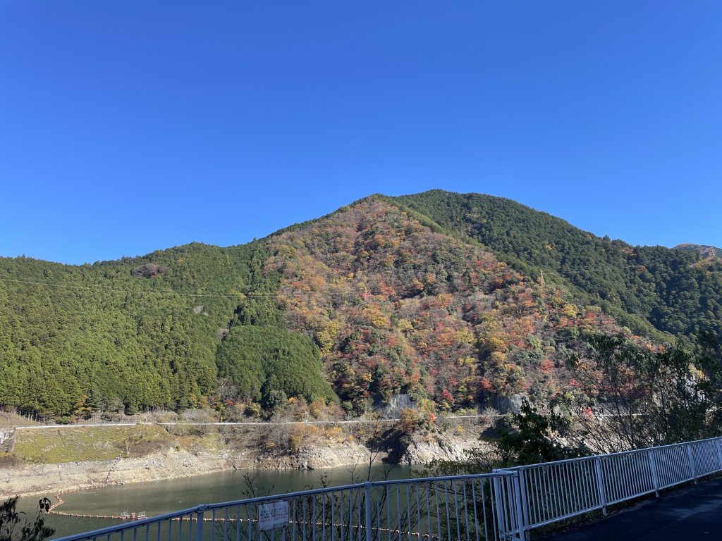 大滝ダム越しの紅葉3