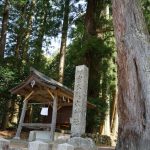 大杉と室生龍穴神社