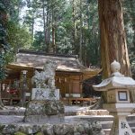 室生龍穴神社境内石段前