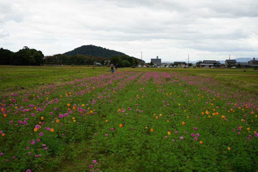 耳成山