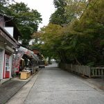 談山神社山門までの通り