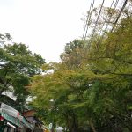 談山神社山門までの通り