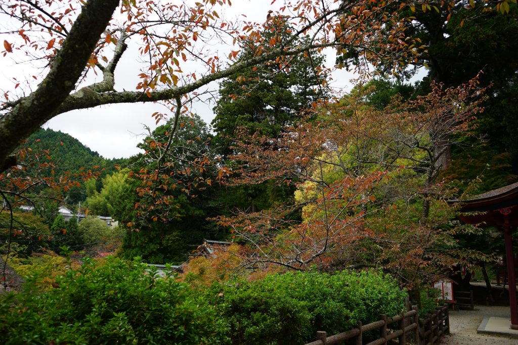 談山神社十三重塔と紅葉3