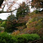 談山神社十三重塔と紅葉3