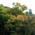 談山神社十三重塔と紅葉4