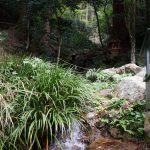 談山神社大和川源流の川