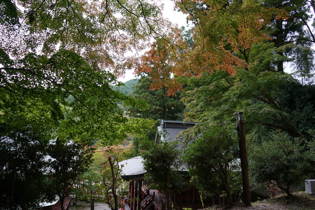 談山神社権殿の紅葉2