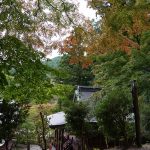 談山神社権殿の紅葉2