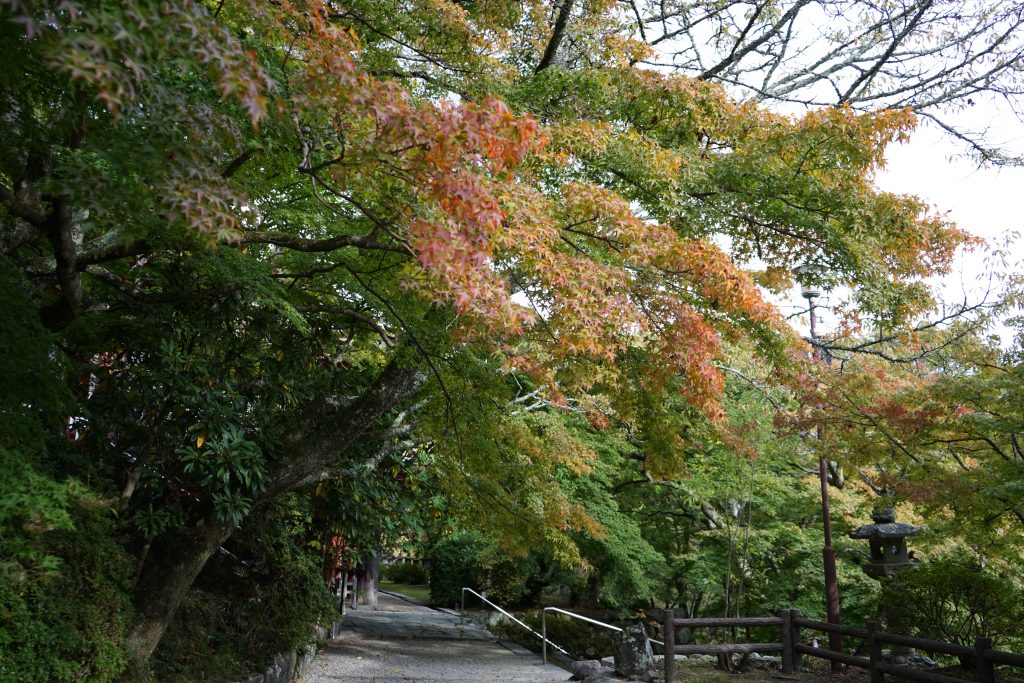 談山神社本殿8