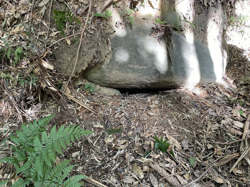 天王山古墳２号古墳