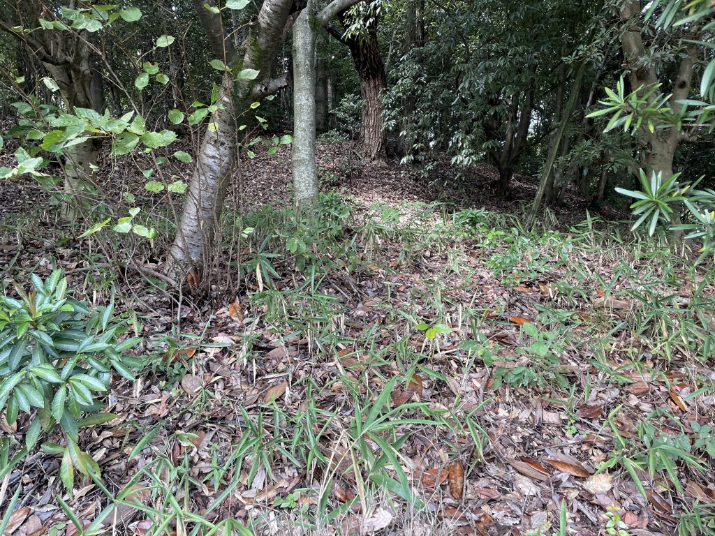 牧野古墳の3段築成