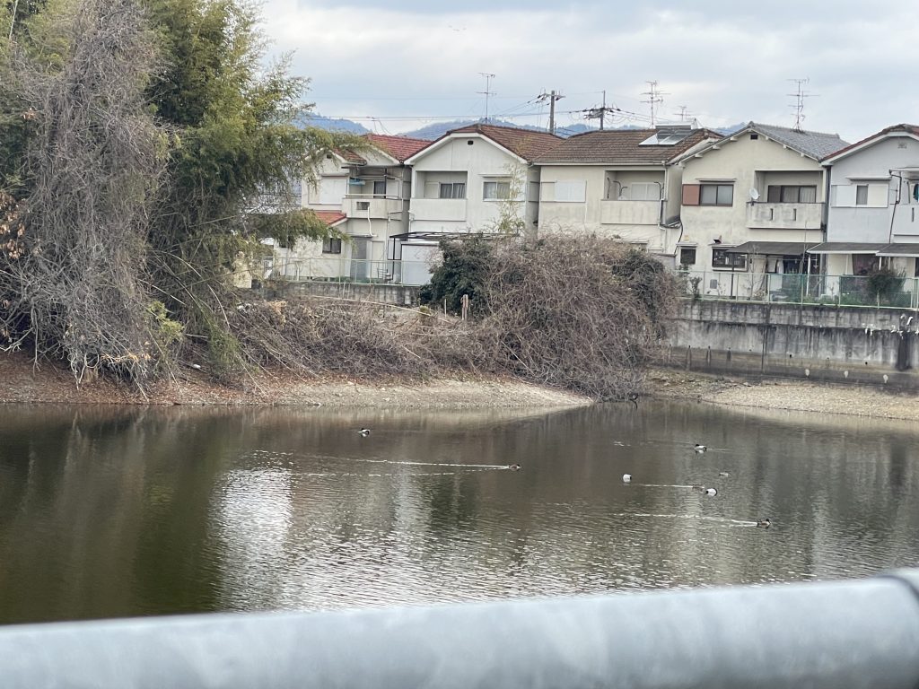 今市城跡東堀