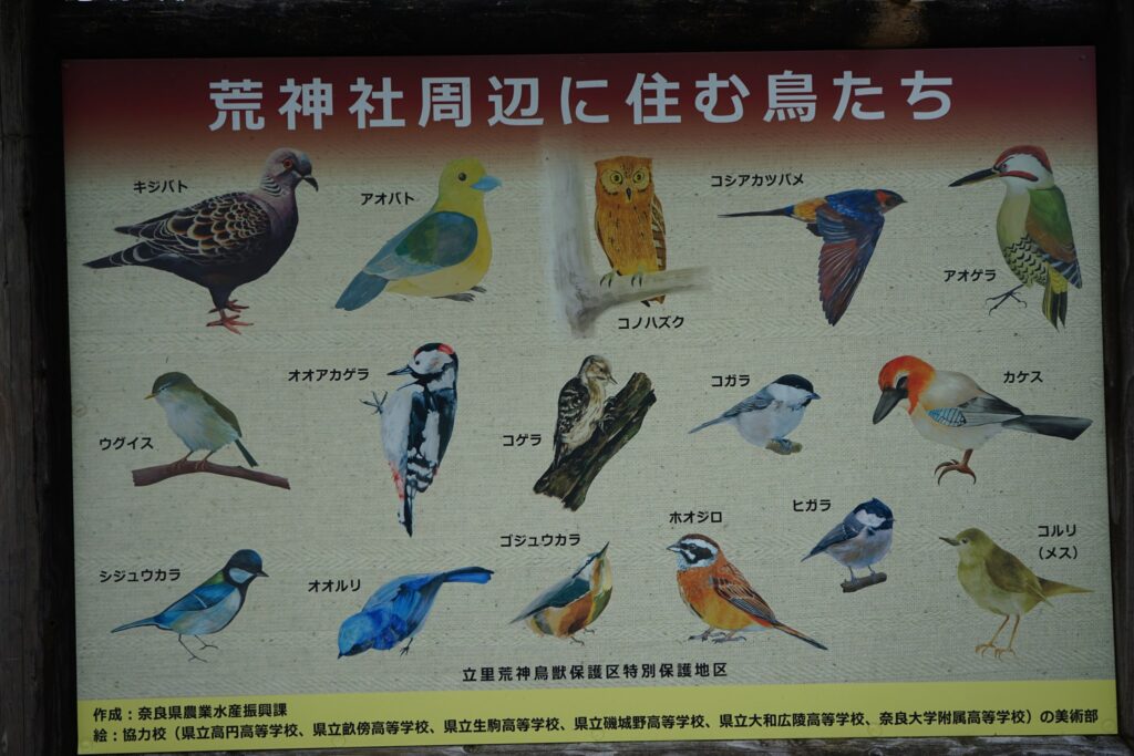 荒神社周辺に住む鳥たちの看板